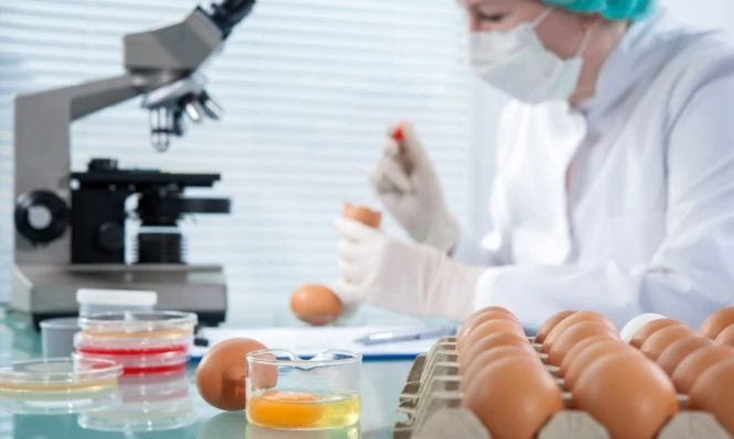 Γενετικά τροποποιημένα κοτόπουλα κάνουν αυγά με… αντικαρκινικά φάρμακα για τον άνθρωπο!